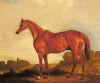 Ferneley, John - A Portrait of the Racehorse Harkaway, the Winner of Goodwood
